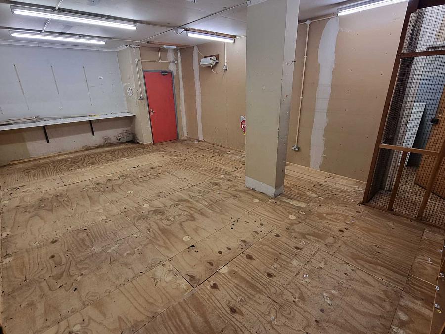 Former Dorothy Perkins High Street