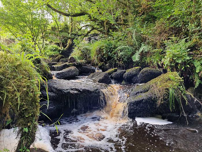 Waterfall & Land Boho Road Waterfall & Land Boho Road