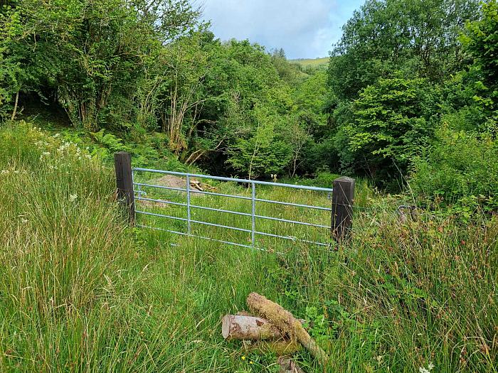 Waterfall & Land Boho Road Waterfall & Land Boho Road
