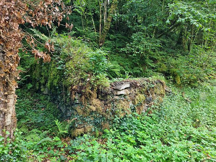 Waterfall & Land Boho Road Waterfall & Land Boho Road