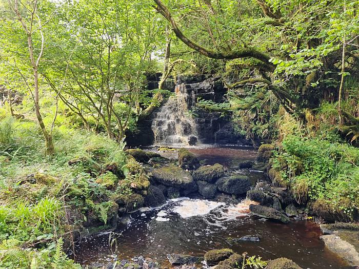 Waterfall & Land Boho Road Waterfall & Land Boho Road
