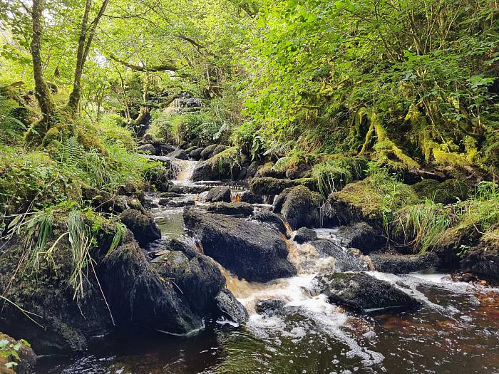 Waterfall & Land Boho Road Waterfall & Land Boho Road