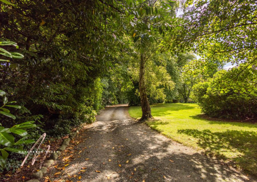 Moygannon House, 54 Rostrevor Road