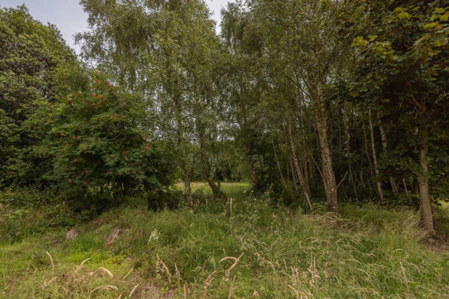 Clann Rath, 58 Corcreaghan Road