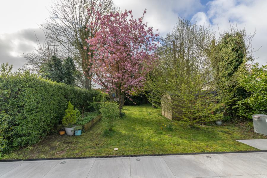 7 Rathfriland Road