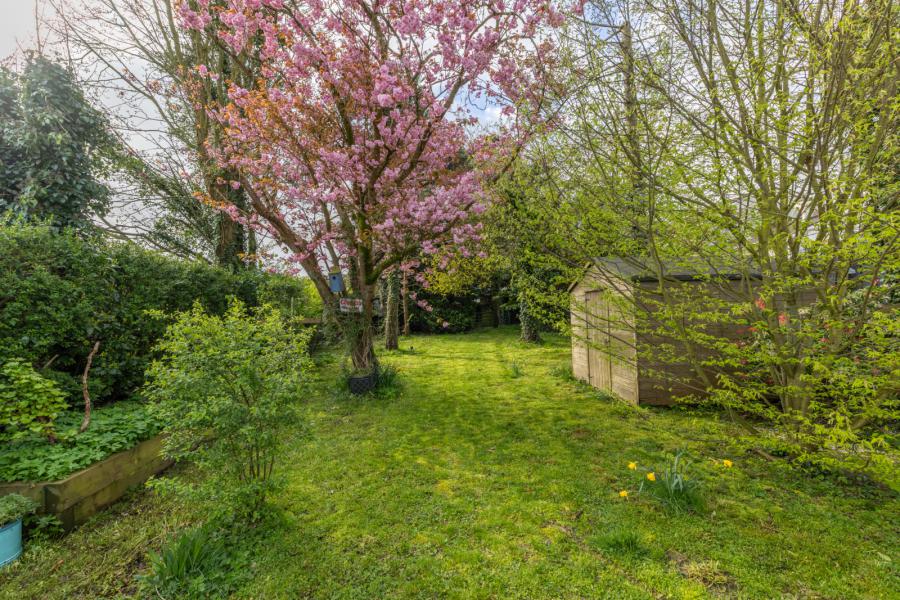 7 Rathfriland Road