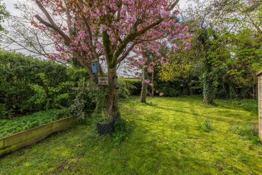 7 Rathfriland Road